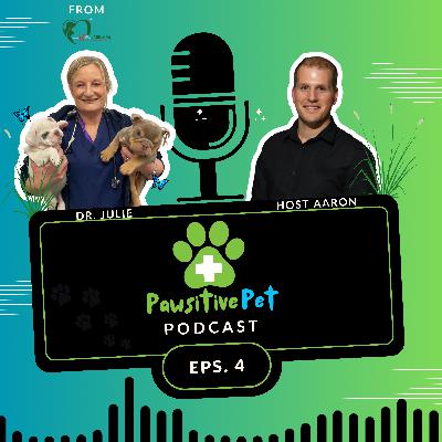 Dr. Julie - Episode 4 Snake Bites Dr. Julie - Episode 4 Snake Bites