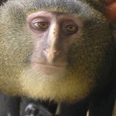 Episode12: Nobody tell you this use of ChatGPT !!🤯🤯🤫