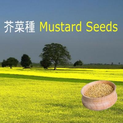 每日天糧 四月十一日