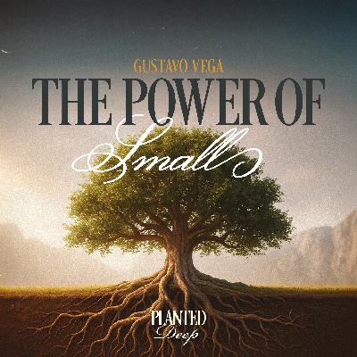 The Power of Small | Gustavo Vega The Power of Small | Gustavo Vega