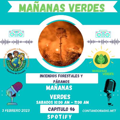 🔥🌡️ Emergencia por Incendios forestales en Colombia.