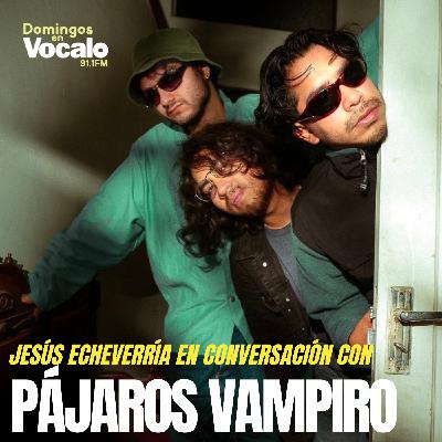 Entrevista a Pájaros Vampiro: Un Vistazo al Torbellino del Garage y Post-Punk Mexicano