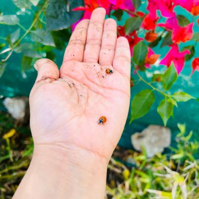 If by Rudyard Kipling.