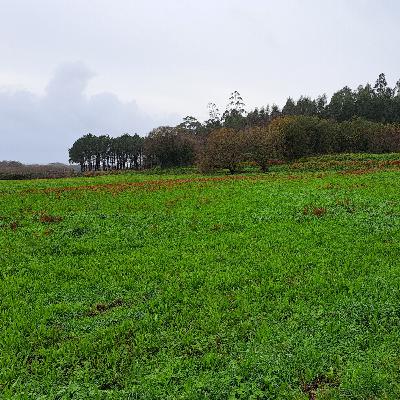 Música, Surf, Medio Ambiente Programa nº 419 5.12.2023