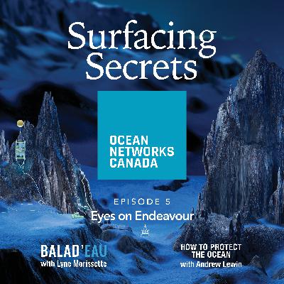 Surfacing Secrets - Episode 5 - Eyes on Endeavour