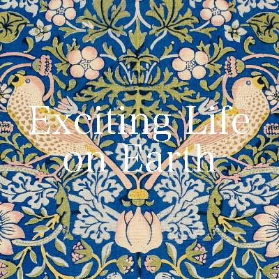 応援してくれる人、してくれない人。メンタルの保ち方