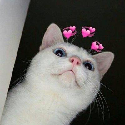 Oh hello youuuu