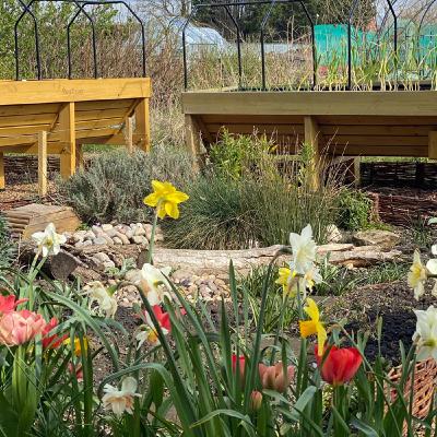 Introducing to new Wildlife Allotment Podcast