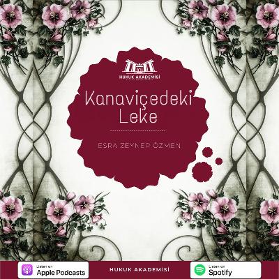 Kanaviçedeki Leke | Hukuk Akademisi BLOG Kanaviçedeki Leke | Hukuk Akademisi BLOG