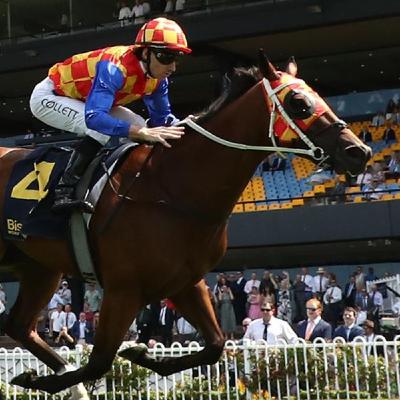 Episode 116 - Stradbroke Handicap Day