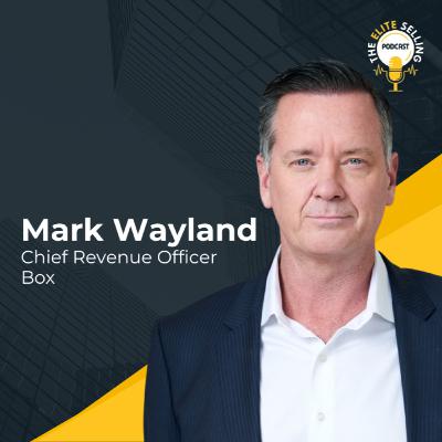 Why NOW is the Best Time to be in Sales - Mark Wayland, CRO @ Box