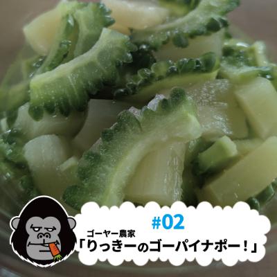 S4#02「ゴーヤー農家りっきーのゴーパイナポー！」の回。