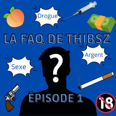 09 - LA FAQ DE THIBSZ (JE RÉPONDS A VOS QUESTIONS)