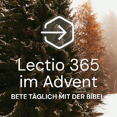 Life Lion-Bibel und Lectio 365-Adventsgebete