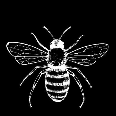 Miel que salva el pie diabético y heridas de guerra.