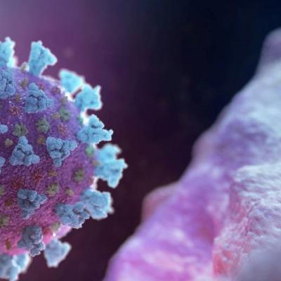 #6 - O medo se combate com informação - Paladino de Bronze