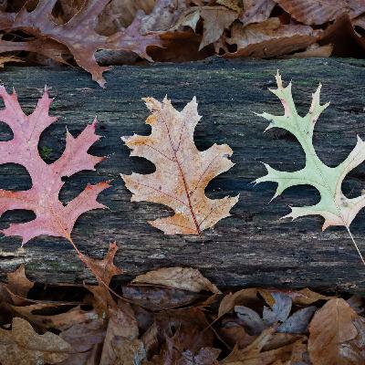 Il weekend dal 14 al 16 Novembre 2025