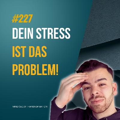 #227 Warum Stress dicker macht – auch wenn du alles richtig machst #227 Warum Stress dicker macht – auch wenn du alles richtig machst