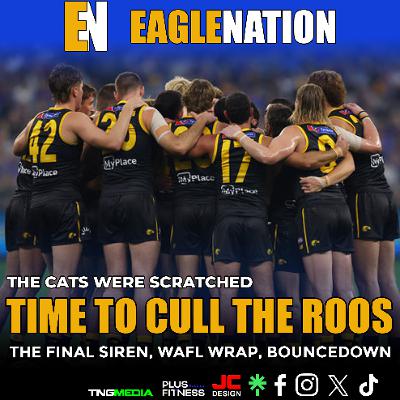 EAGLENATION - S8 - Ep 17 : Cats were scratched & Time to cull the Roos