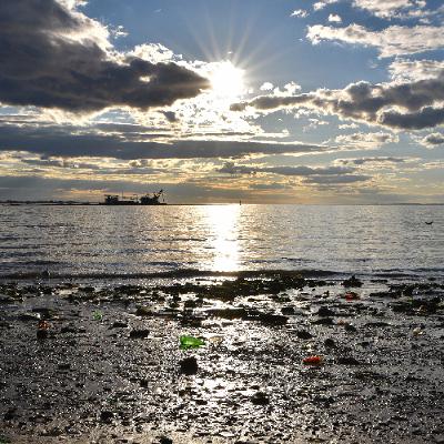 Digging up the past at Dead Horse Bay