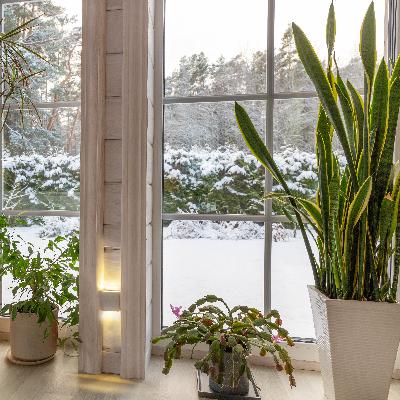 Preparing Gardens in The Winter, Exploding Trees, When to Start and Stop Pruning Preparing Gardens in The Winter, Exploding Trees, When to Start and Stop Pruning