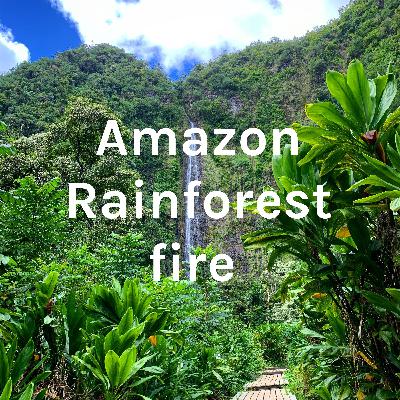 Amazon Rain forest fire