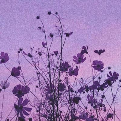 Aufklärung:was ist eigentlich shiften?