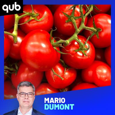 Des tomates près du fleuve: les experts ne recommandent PAS de les manger!