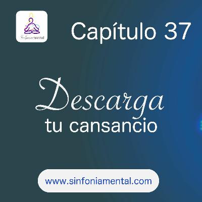 Fase VIII - Capítulo 37: Descarga Tu Cansancio