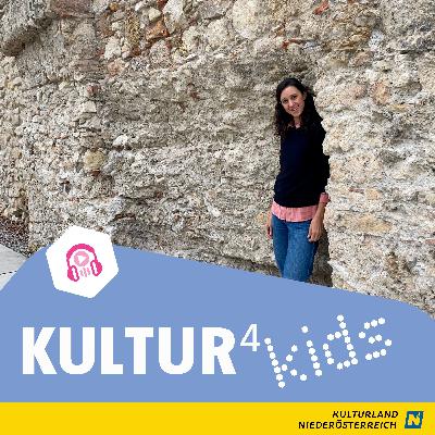 Statutarstadt Wiener Neustadt 5: Ein historisches Ratespiel