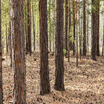 The Fairytale Trail in Germany The Fairytale Trail in Germany