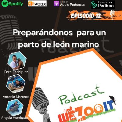 #12 Preparándonos para un parto de león marino