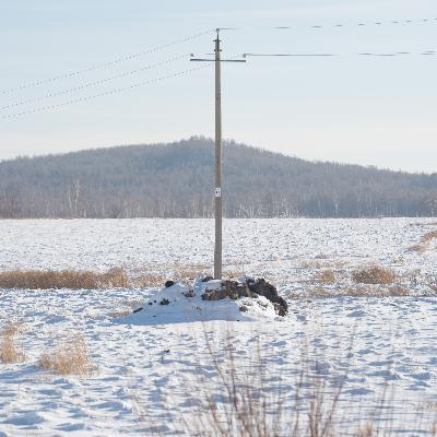 0: 开篇词：东北的珊瑚
