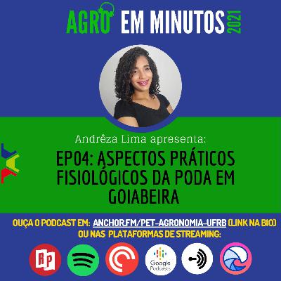 EP04/T02 - Aspectos práticos fisiológicos da poda em goiabeira