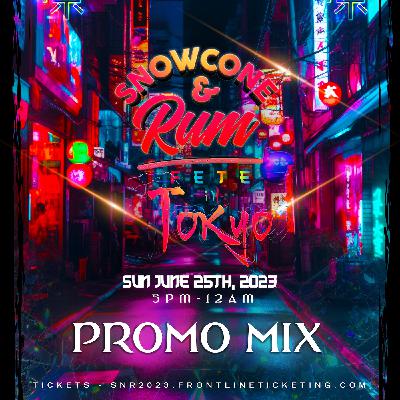 Snowcone & Rum 2023 WARM UP MIX