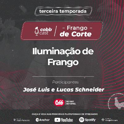 #05 Iluminação de frango