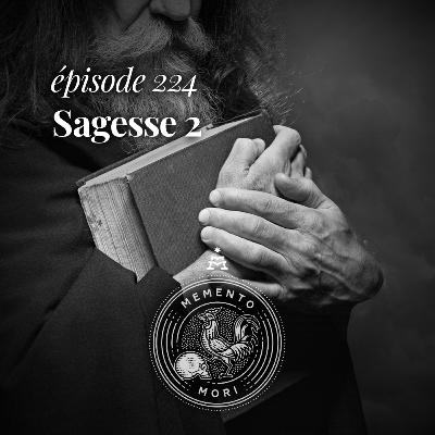 MM224: La sagesse et l'ordre du monde (série 2/2) MM224: La sagesse et l'ordre du monde (série 2/2)