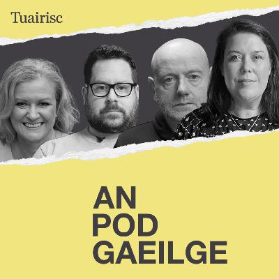 100 lá Catherine Connolly, Éire in aghaidh Iosrael agus Micheál Martin agus an Ghaeilge