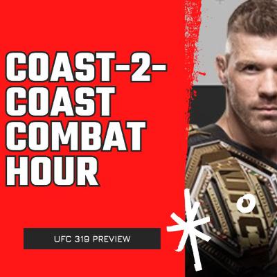 UFC 319 Preview