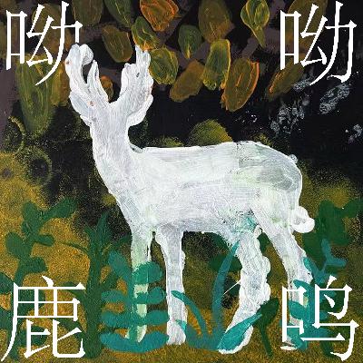 E12. 呦呦鹿鸣听众来信特辑,读着读着就哭了 E12. 呦呦鹿鸣听众来信特辑,读着读着就哭了