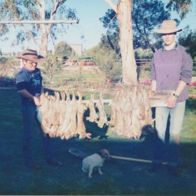 Artificial Manipulation