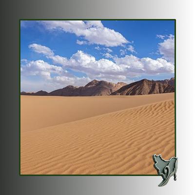 آینه ستاره ها