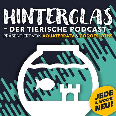Kobraverwirrung in Marokko & der geplatzte AquaDom in Berlin - HINTERGLAS #038