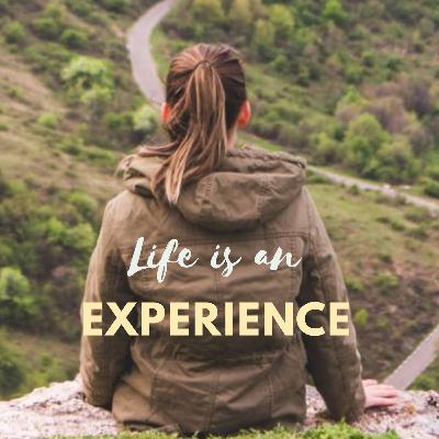 Life is an Experience