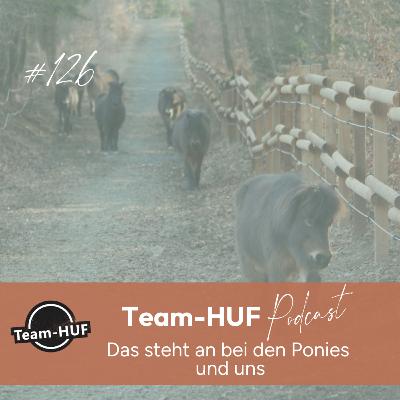 Folge 126: Update und Ausblick - von den wilden Ponies und uns