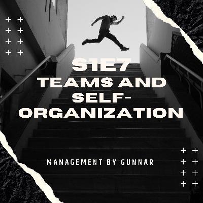 S1E7 Teams and the idea of self-organization