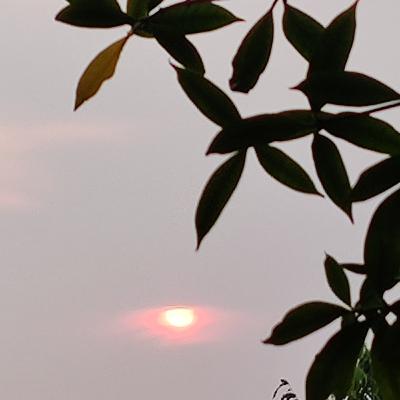 How to create an opportunity