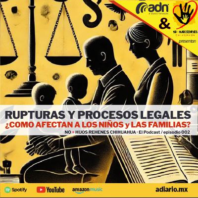 N+HR 002 | Rupturas y Procesos Legales: ¿Cómo Afectan a los Niños y las Familias? N+HR 002 | Rupturas y Procesos Legales: ¿Cómo Afectan a los Niños y las Familias?
