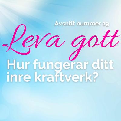 19: Hur fungerar ditt inre kraftverk? 19: Hur fungerar ditt inre kraftverk?