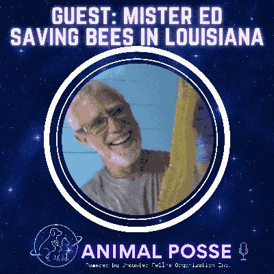 Mr. Ed: The Bee Saving Legend of Louisiana